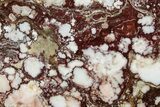 Polished Wild Horse Magnesite Slab - Arizona #301692-1